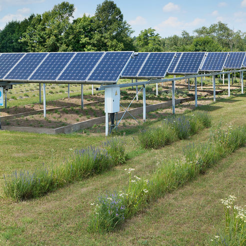 Energia Solar Rural